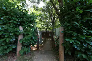 Camping Chaulet Plage - kleiner Weg auf dem Campingplatz im Grünen mit Stellplätzen an den Seiten