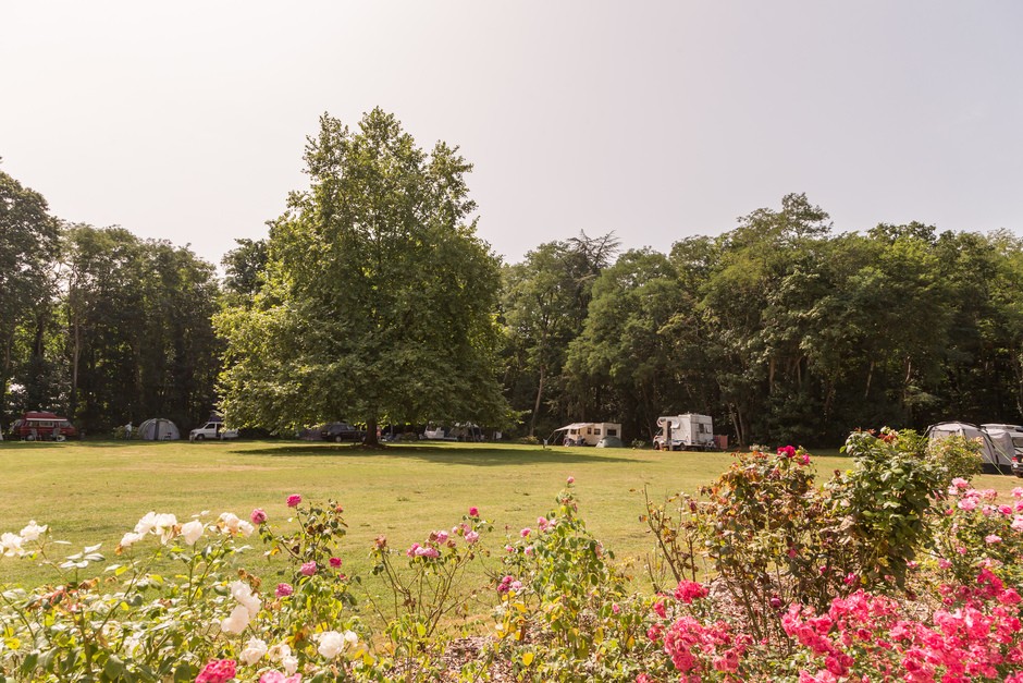 Camping Château de Chanteloup