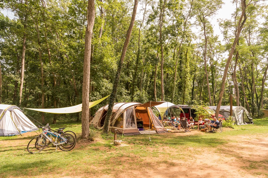 Camping Château de Chanteloup