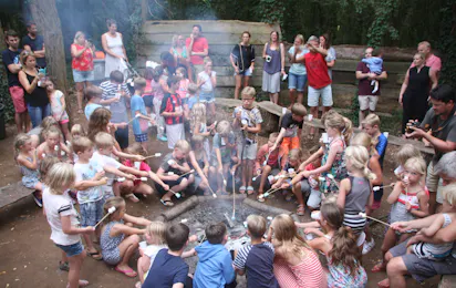 Camping Château de Chanteloup
