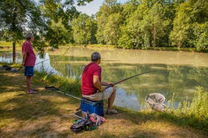 Camping Château de Fonrives