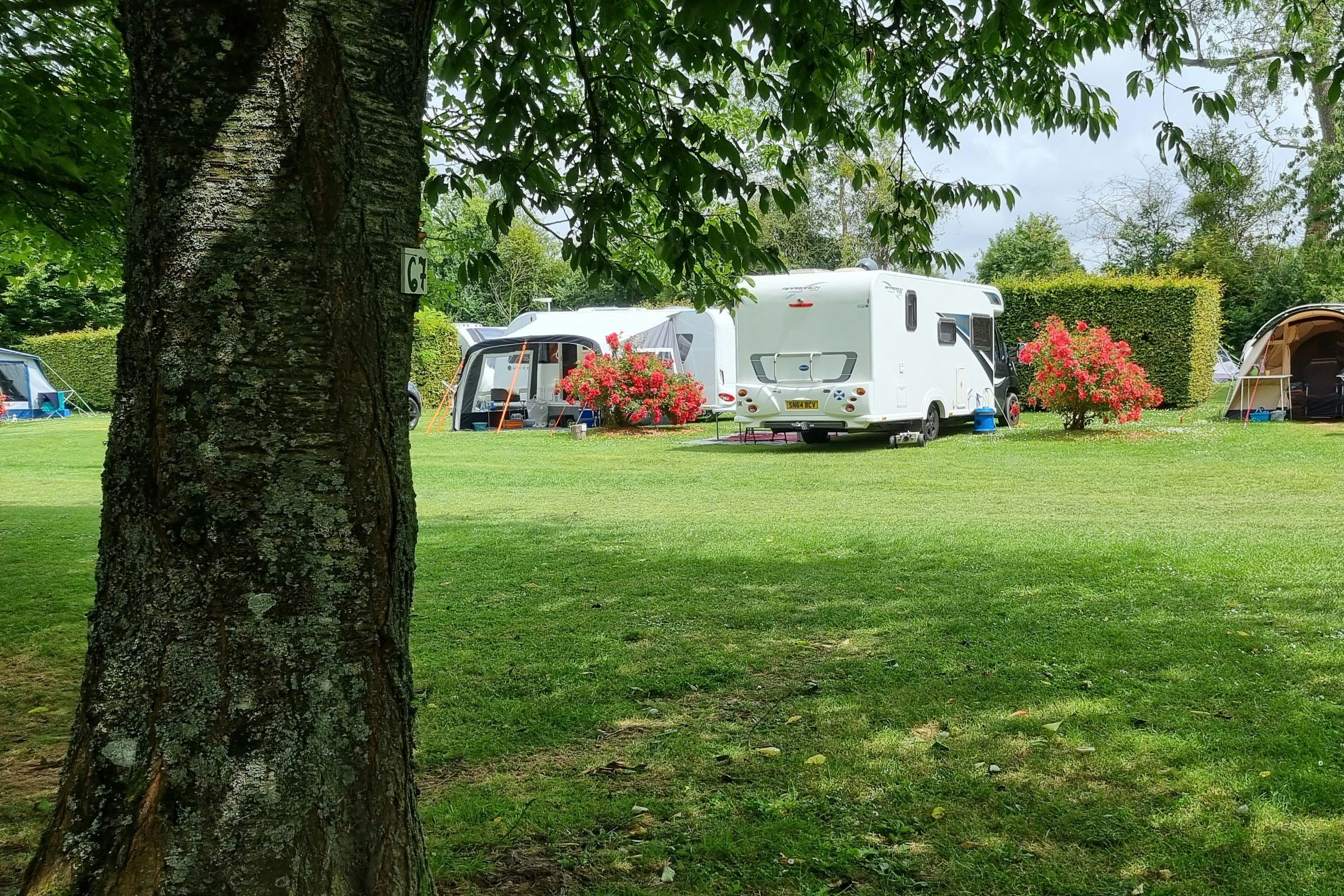 Camping Château de Martragny - Standplätze auf der Wiese auf dem Campingplatz