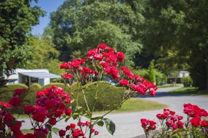 Camping Château du Gandspette