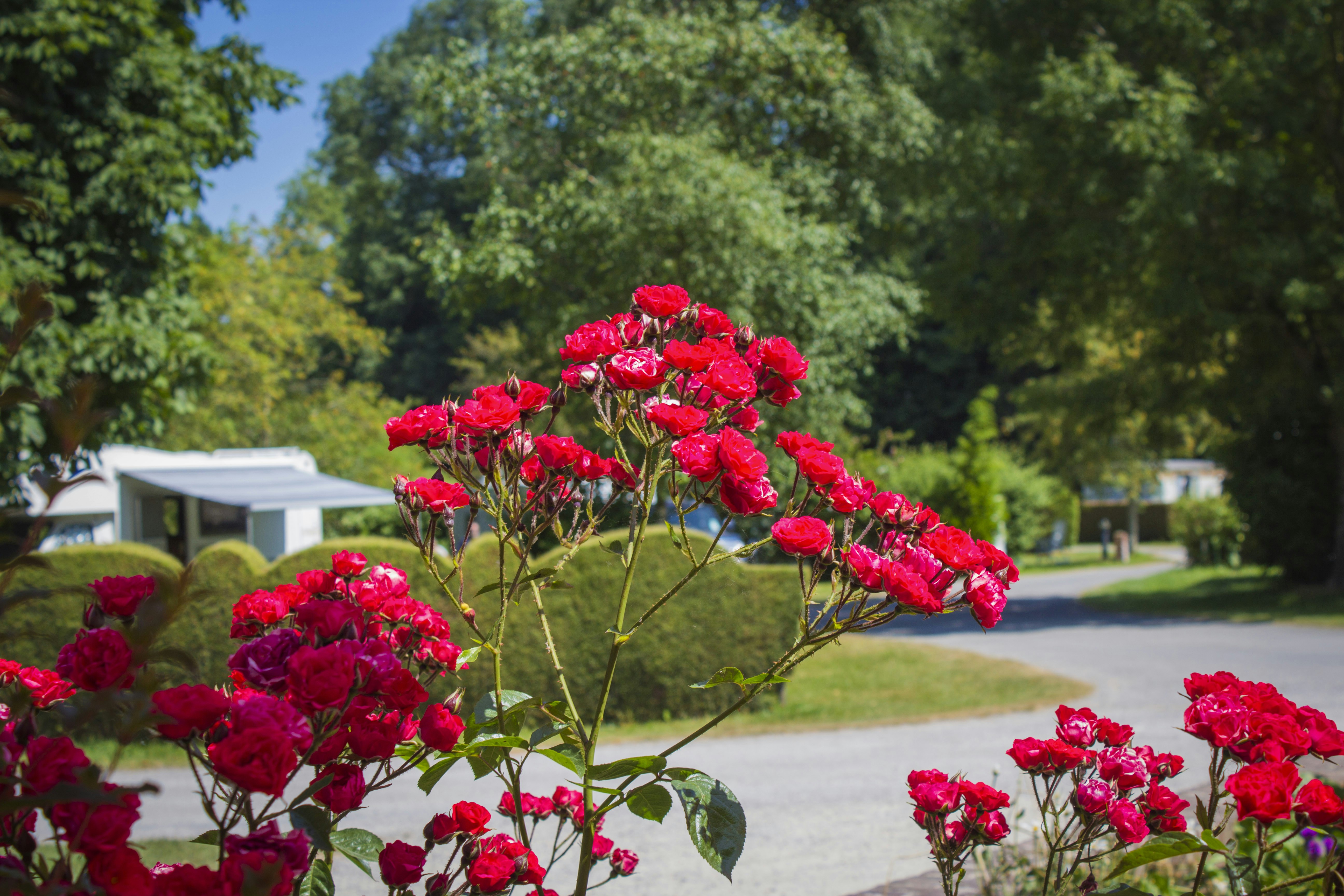 Camping Château du Gandspette