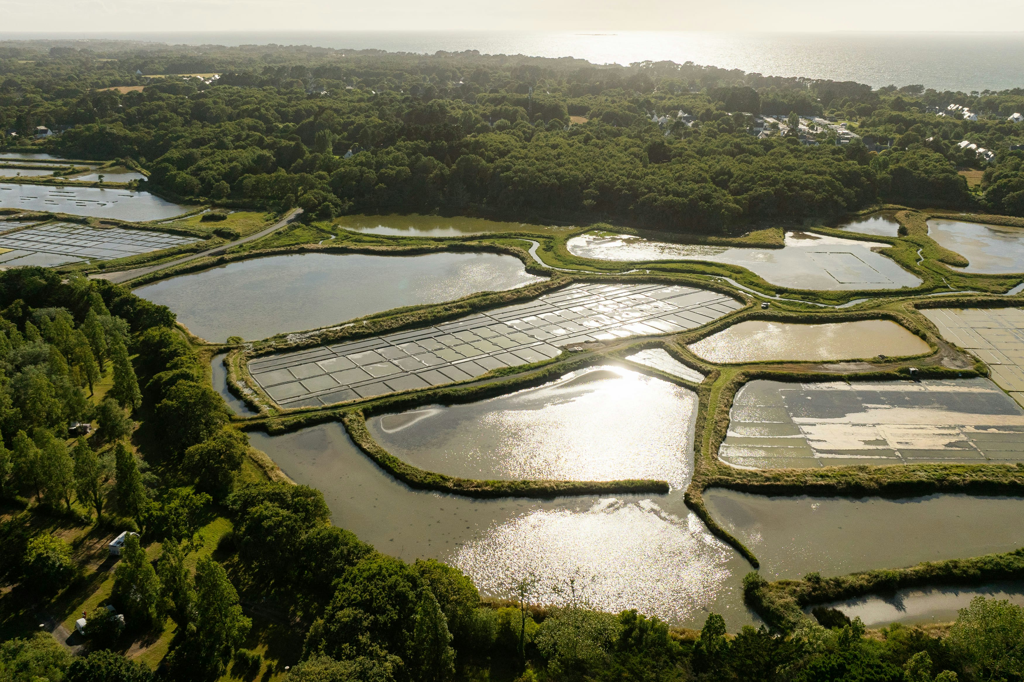 Camping Sunêlia Le Petit Bois - Blick in die Umgebung des Campingplatzes