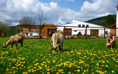 Camping Chvalšiny