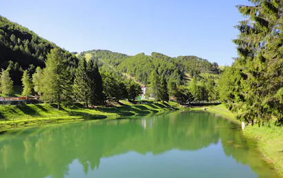 Camping Ciclamino