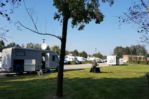 Wohnmobile auf einem Campingplatz, ein Baum im Vordergrund, Stellplätze mit Fahrzeugen und Rasenfläche.