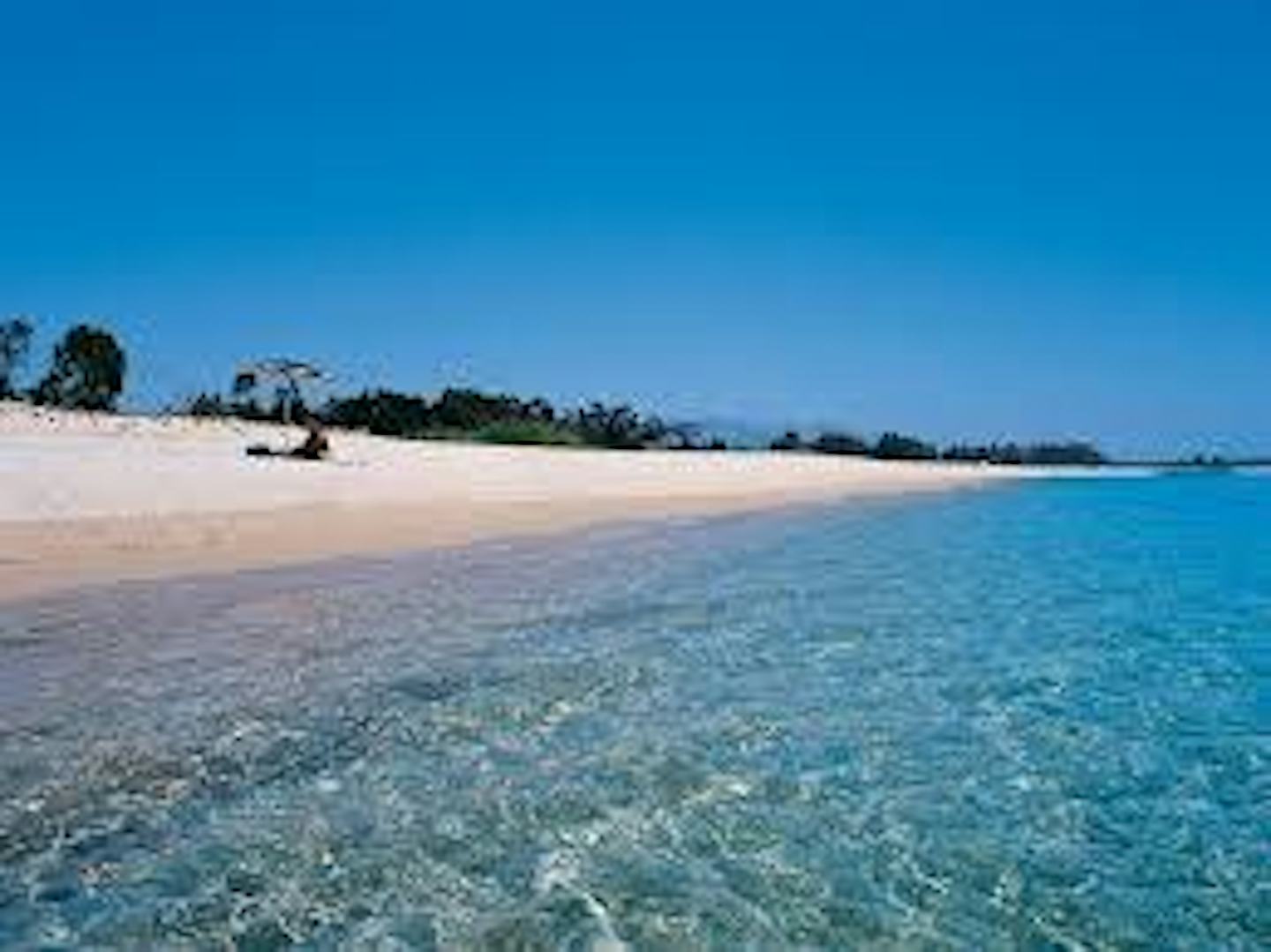 Camping Villaggio Cigno Bianco