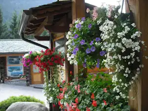 Blumenampeln an einer Holzveranda am Campingplatz, im Hintergrund Gebäude und Berge, daneben ein Weg und Rasen.