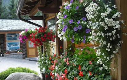 Camping Cimapiazzi
