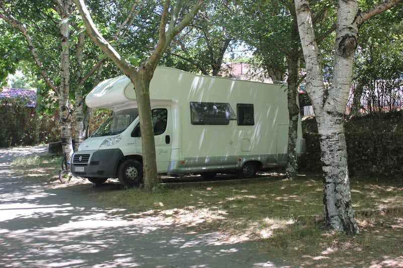 Camping Cinco Castaños -  Wohnmobil unter Bäumen auf dem Campingplatz