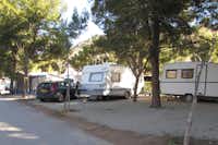 Camping Ciudad de Albarracin  -  Stellplatz vom Campingplatz zwischen Bäumen