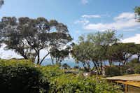 Camping Clair de Lune - Blick auf die Bungalows unter Bäumen und das Mittelmeer im Hintergrund