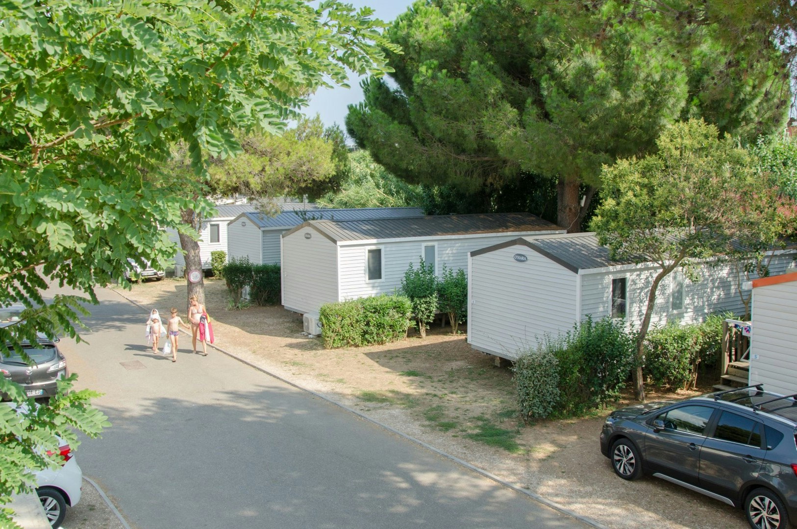 Reihe von Mobilheimen auf einem Campingplatzweg, umgeben von Bäumen und Hecken, mit geparktem Auto rechts.