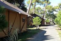 Camping  club Les Pins -  Mobilheime unter Bäumen auf dem Campingplatz