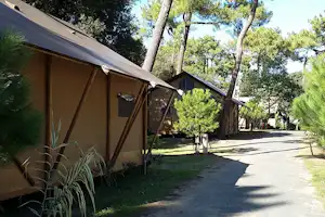 Camping club Les Pins - Mobilheime unter Bäumen auf dem Campingplatz
