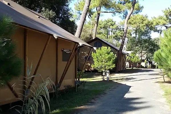 Camping Paradis Les Pins d'Oléron (Le Grand-Village-Plage)