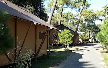 Camping Paradis Les Pins d'Oléron (Le Grand-Village-Plage)