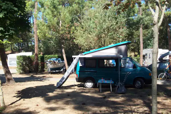 Camping Paradis Les Pins d'Oléron (Le Grand-Village-Plage)