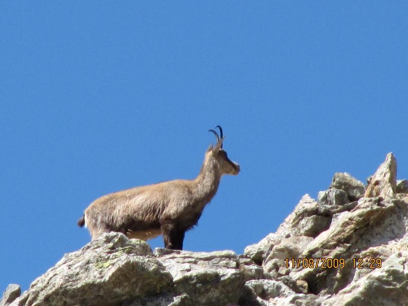 Origan Village Naturiste