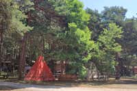 Camping Cobijo - Tipi Zelte im Schatten unter Bäumen