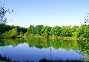 Ruhiger See mit spiegelnder Wasseroberfläche und grünem Ufer, umgeben von Bäumen und Schilf am Rand.
