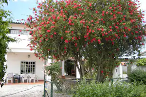 Camping Coimbrão - Hauptgebäude vom Campingplatz