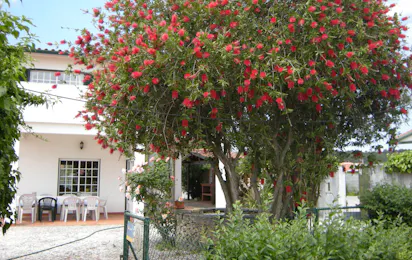 Camping Coimbrão