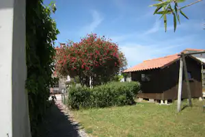 Camping Coimbrão - Mobilheim vom Campingplatz im Grünen