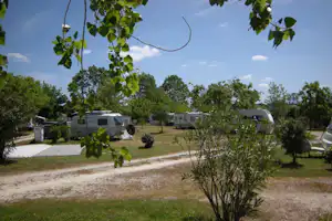 Camping Coimbrão - Wohnwagen- und Zeltstellplatz vom Campingplatz im Grünen