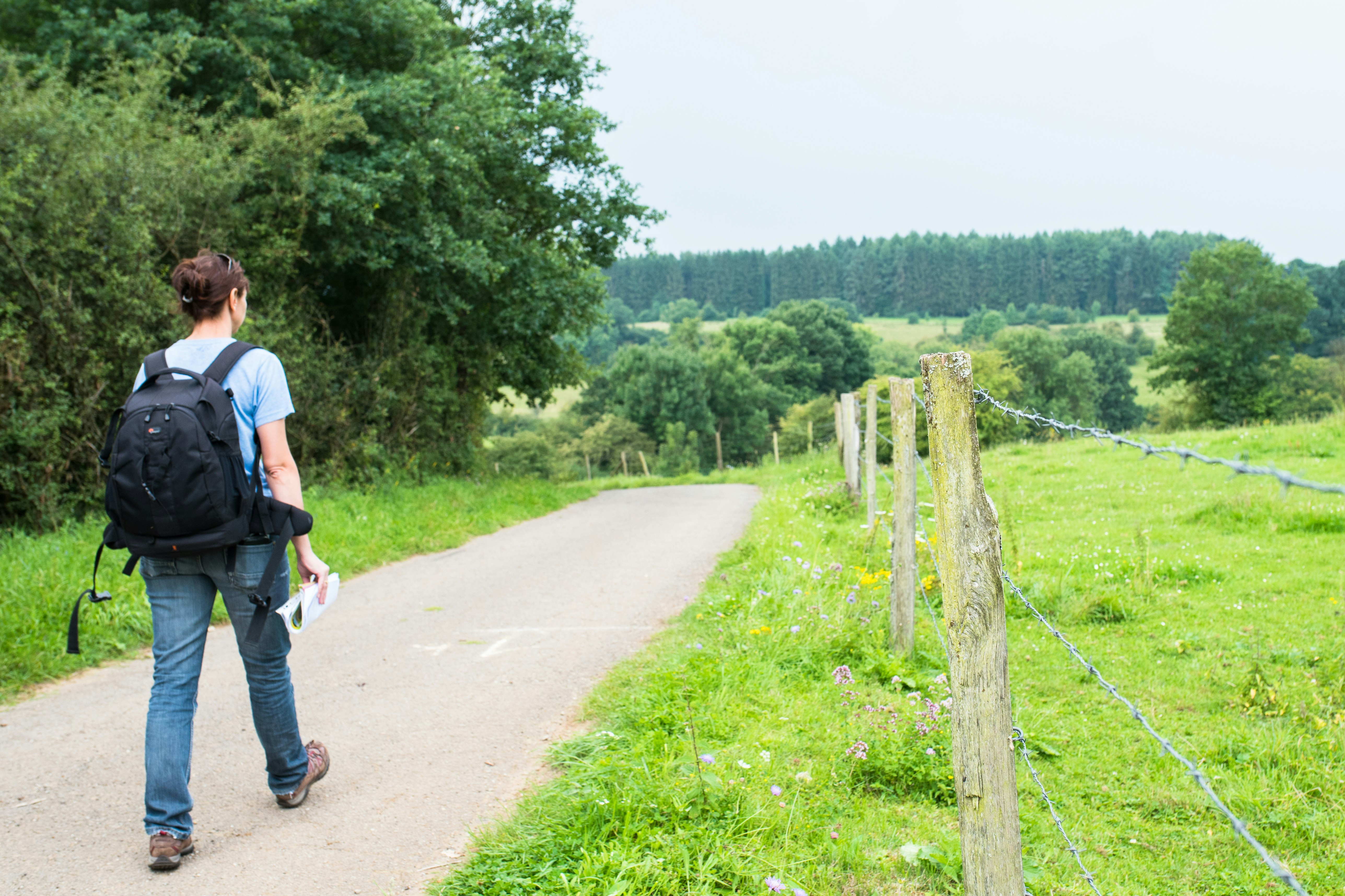 Camping Colline de Rabais - Wanderung auf dem Wald in der Nähe des Campingplatzes