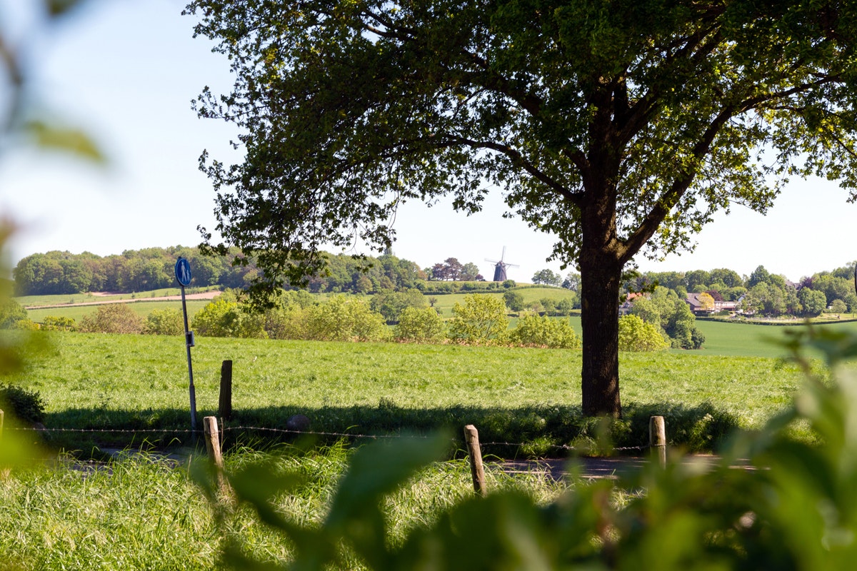 Panoramacamping Colmont  Camping Colmont - Blick in die Umgebung des Campingplatzes