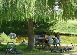 Familie sitzt am Holztisch im Grünen, neben Fahrrädern unter einem großen Baum am Campingplatz.