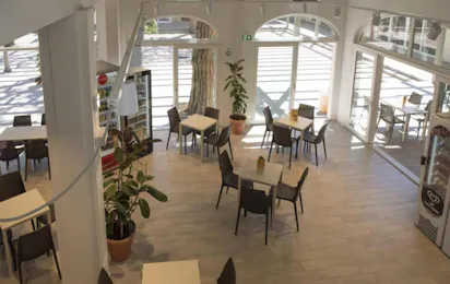 Continental Camping Village (Marina di Castagneto-Donoratico)