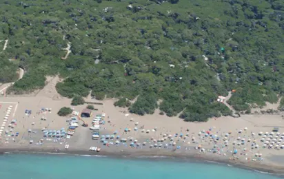 Continental Camping Village (Marina di Castagneto-Donoratico)