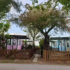 432926367.jpg