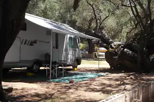 Wohnmobil auf einem Campingplatz unter großen Bäumen, mit Vorzelt, Tisch und Stühlen auf dem Stellplatz.