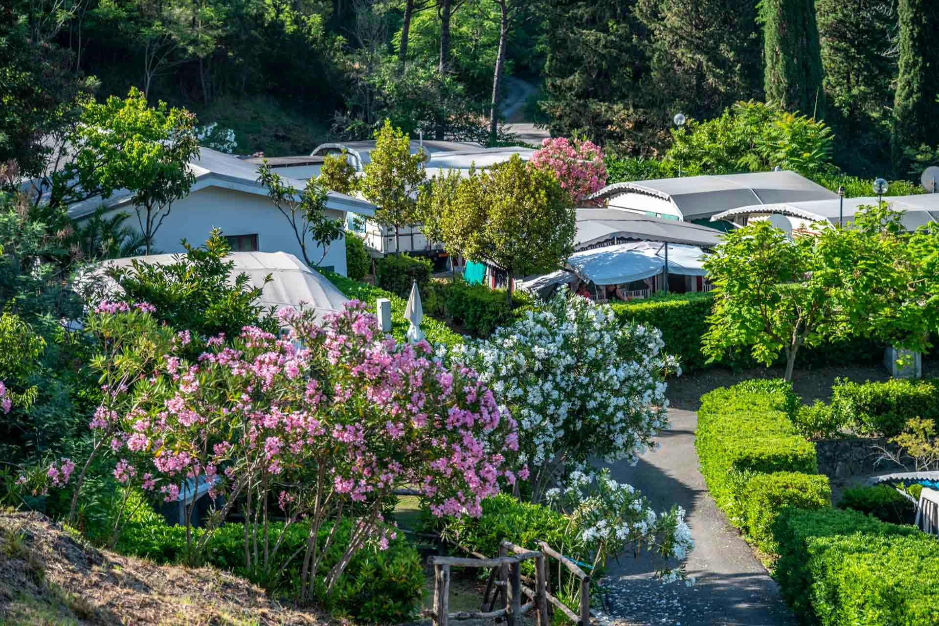 Camping Costabella - Standplätze auf dem Campingplatz