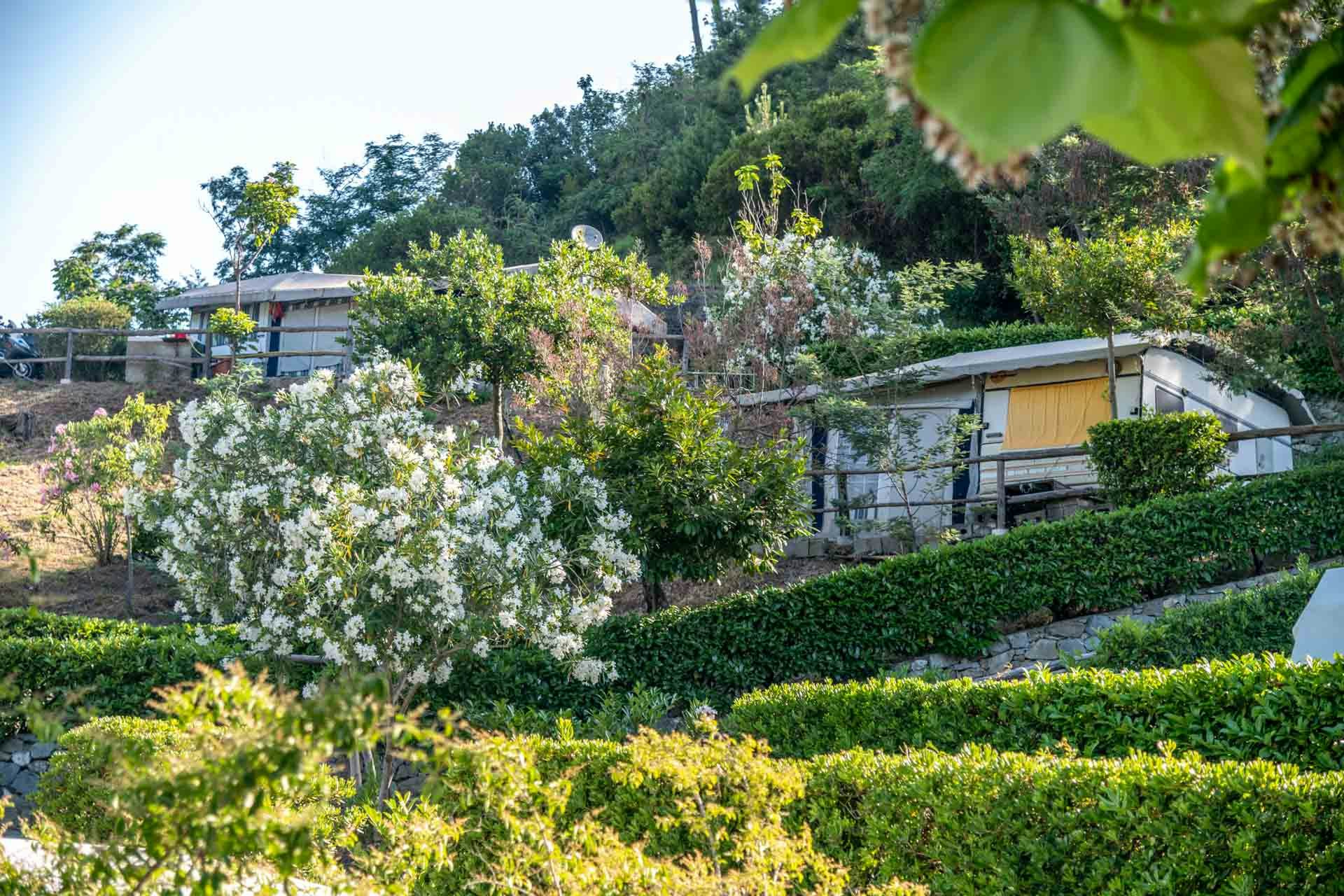Camping Costabella - Standplätze auf dem Campingplatz