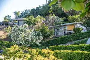Camping Costabella - Standplätze auf dem Campingplatz