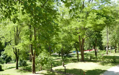 Camping Couderc