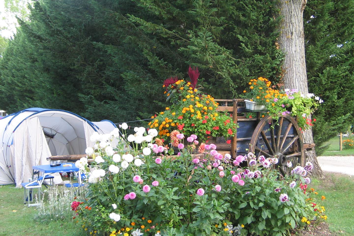 Camping Couleurs du monde - Wohnwagen- und Zeltstellplatz vom Campingplatz zwischen Bäumen und Blumen