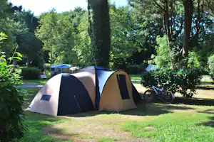 Zelte auf einem Campingplatz im Grünen, mit Fahrrad und Büschen im Hintergrund.