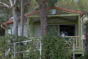 Grünes Camping-Mobilheim mit Veranda und Markise, umgeben von Bäumen und Hecken, seitlicher Eingang sichtbar.