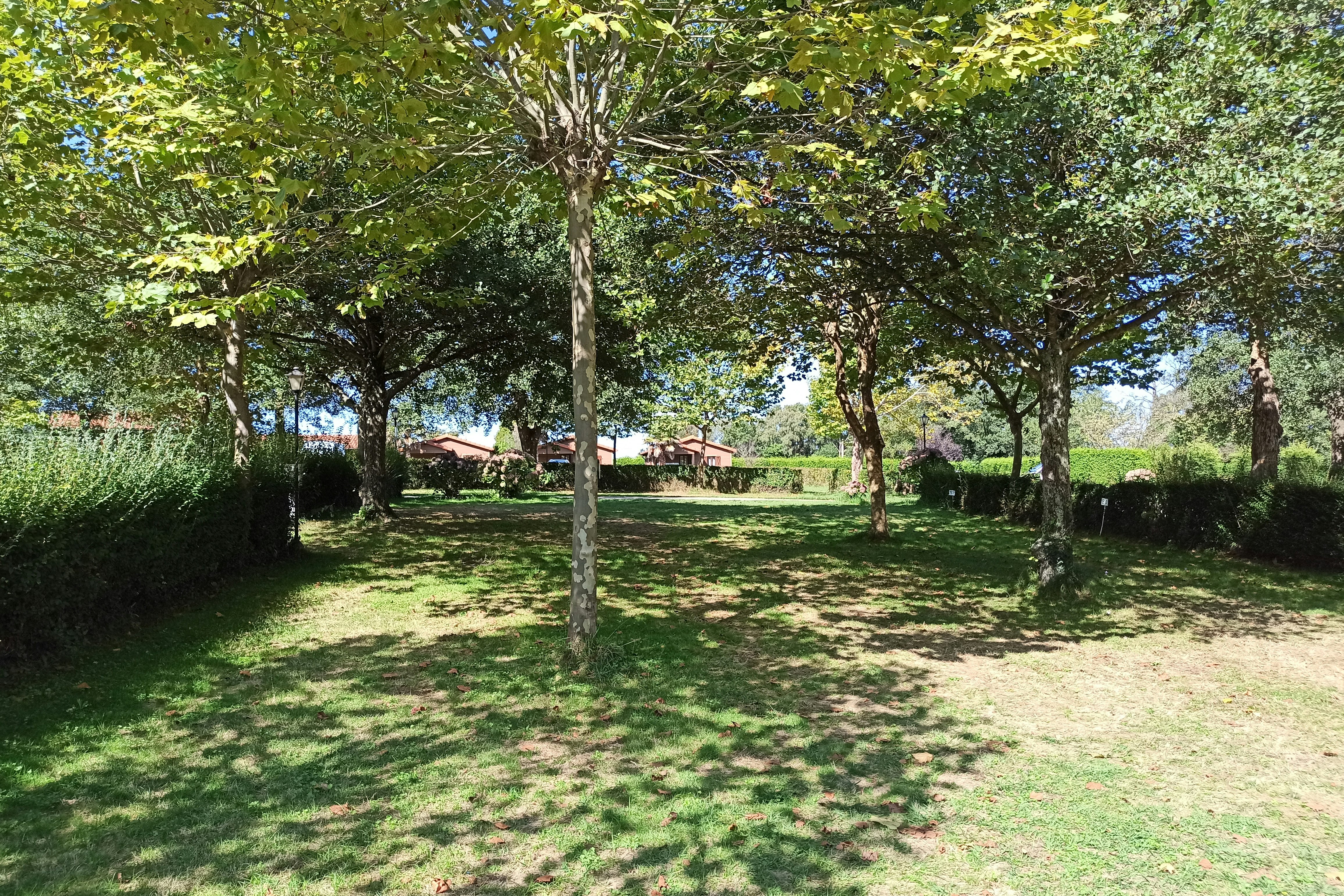 wecamp Cudillero - Blick auf die Standplatzwiese im Schatten der Bäume