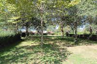 wecamp Cudillero - Blick auf die Standplatzwiese im Schatten der Bäume