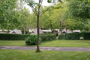 Zeltwiese auf einem Campingplatz mit mehreren Zelten, Hecken und Bäumen im Vordergrund.