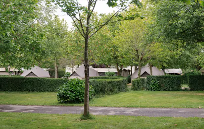 wecamp Cudillero