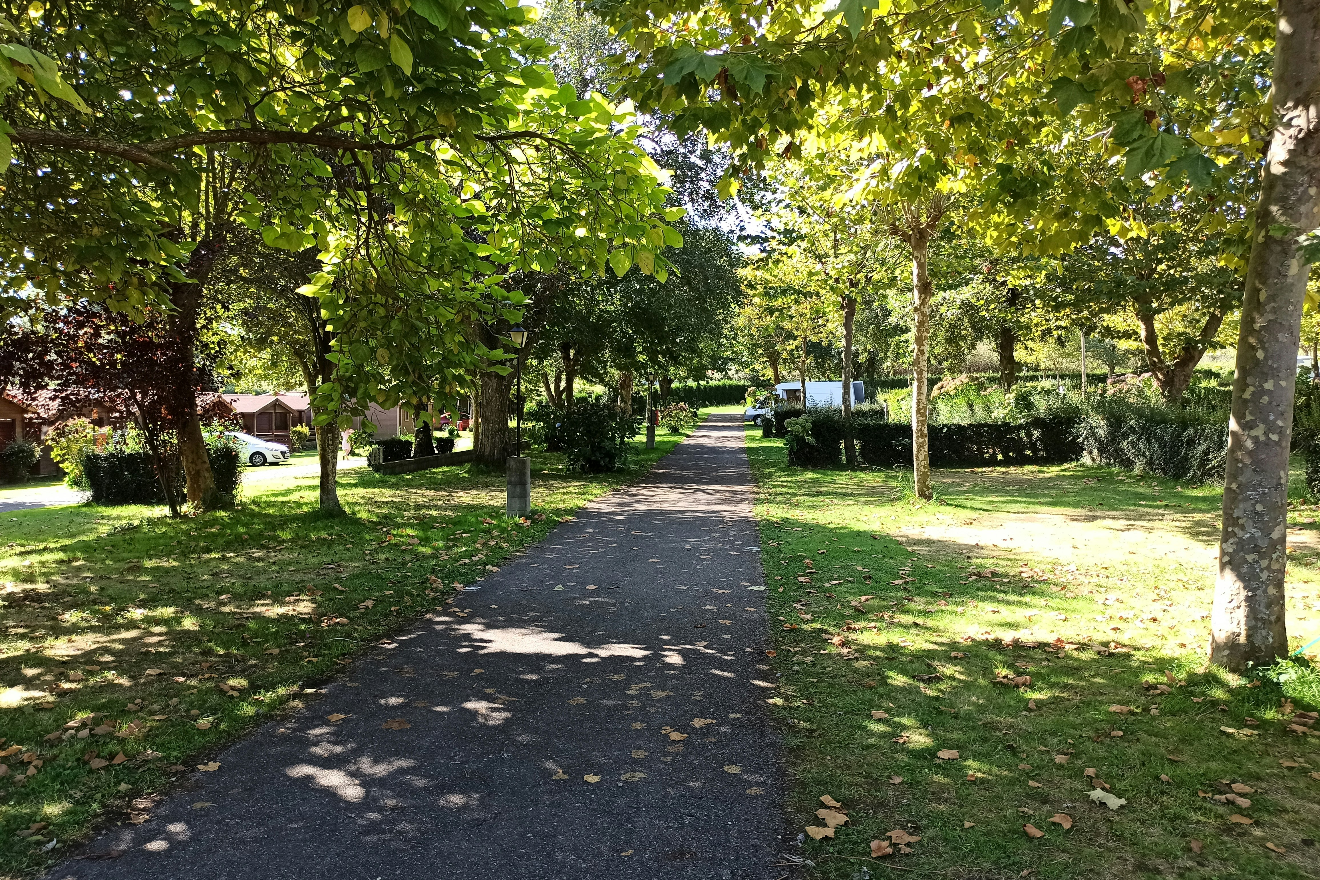 wecamp Cudillero - Standplätze auf dem Campingplatz
